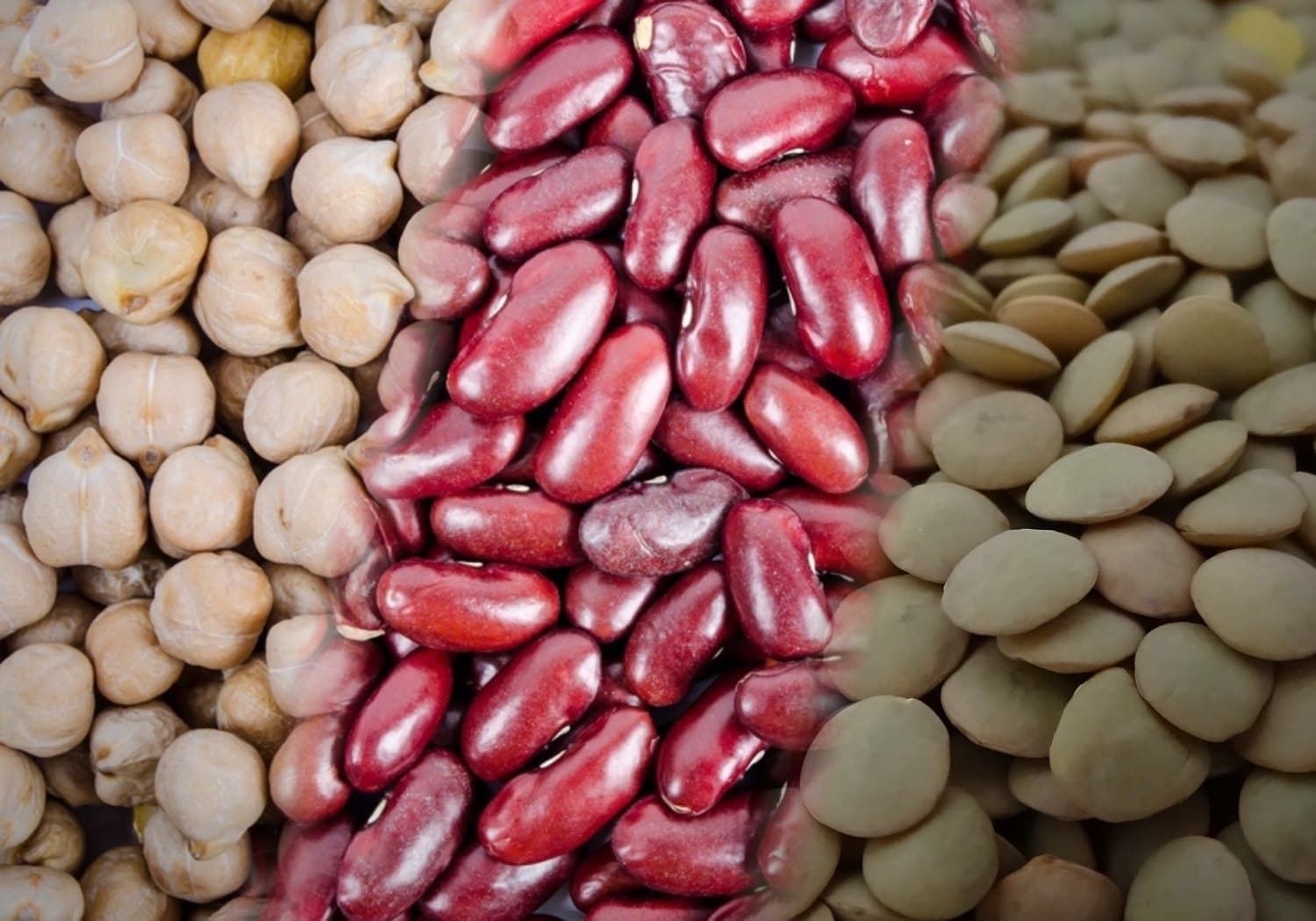 Chickpeas, red kidney beans and green lentils